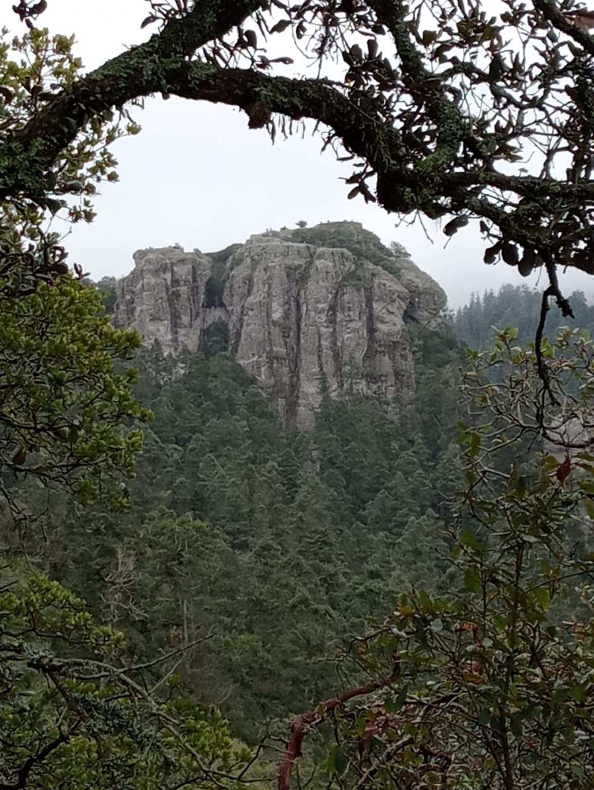 Paisaje rocoso de montaña